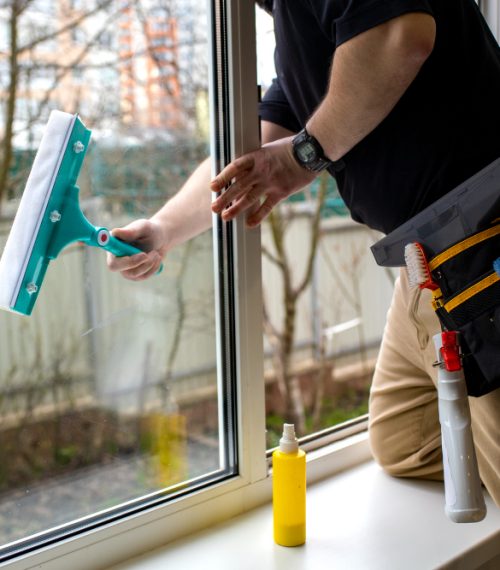 Professional Window Cleaning Services