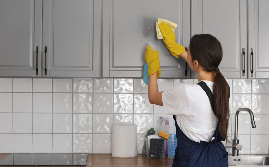 medium-shot-woman-cleaning-home (1) medium-shot-woman-cleaning-home (1)