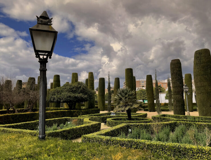 street-lamp-park-with-trees-background
