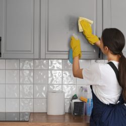 medium-shot-woman-cleaning-home (1)